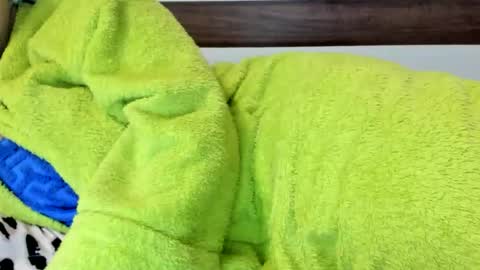 00ingrid00 online show from November 2025 01:38:02 AM