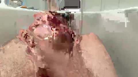 00marci online show from December 2024 03:57:02 PM