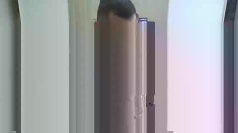 trkshmn online show from March 2025 09:51:01 AM