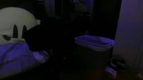 Snapshot of 1337assman1337 chatting on October 2025 09:54:02 AM 1337assman1337 online show from October 2025 09:54:02 AM