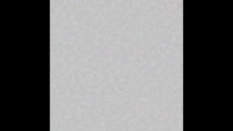 Lance online show from October 2025 04:35:02 PM