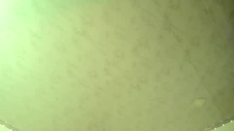 Adam and Venus online show from March 2025 12:33:02 AM