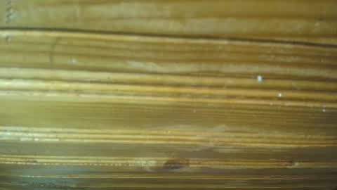 Snapshot of 19carla chatting on February 2025 11:44:02 AM Carl the good girl online show from February 2025 11:44:02 AM