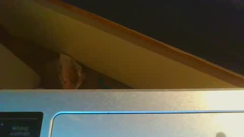 Jason online show from December 2024 08:58:02 PM