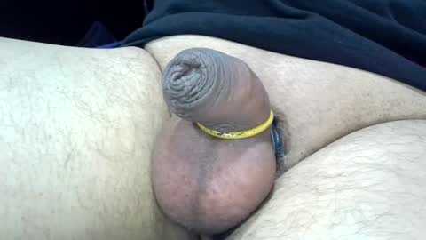 Snapshot of 1micapula chatting on December 2024 05:14:01 PM MICA online show from December 2024 05:14:01 PM