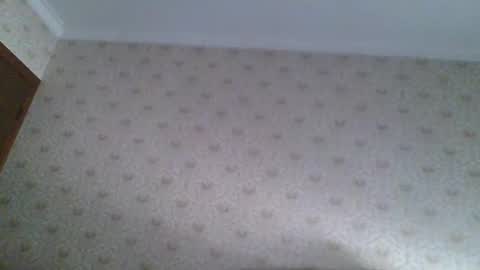 23player online show from April 2026 12:35:01 AM