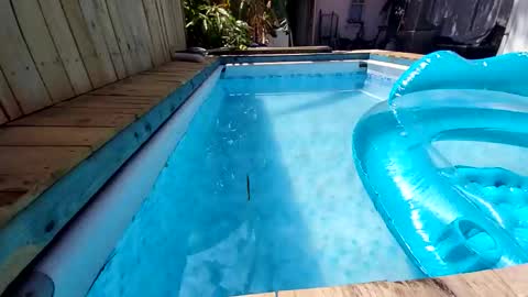 Snapshot of 247nude1987 chatting on November 2025 11:47:02 PM 247nude1987 online show from November 2025 11:47:02 PM