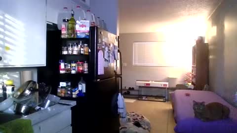 Snapshot of 2gorls1link chatting on December 2024 03:31:01 PM 2girls1link online show from December 2024 03:31:01 PM