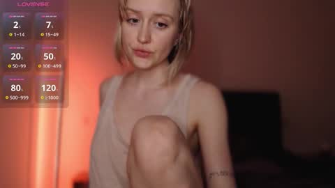  . online show from December 2025 09:11:02 PM