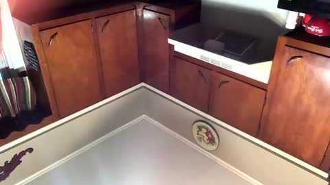 Snapshot of 33adidas chatting on November 2025 11:54:01 AM 33adidas online show from November 2025 11:54:01 AM