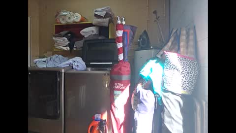 Thisguy online show from October 2025 07:58:02 PM