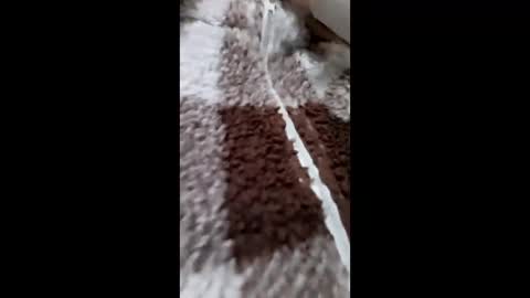 3X NAXAA online show from February 2026 01:20:01 PM