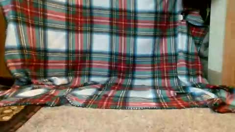 420_letsdoit online show from May 2026 09:54:02 PM