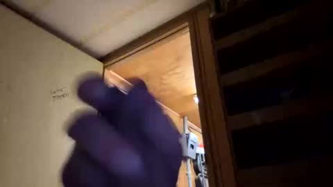 420danny online show from March 2026 06:17:01 AM