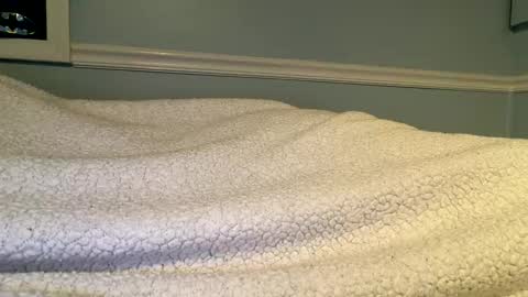 56nicecock35 online show from March 2026 02:21:02 PM