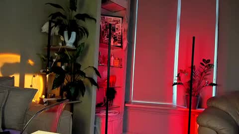 Sunshine online show from December 2024 07:49:02 AM