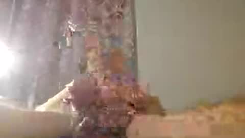 Snapshot of 60zeus60 chatting on July 2026 01:33:01 AM Zeus online show from July 2026 01:33:01 AM