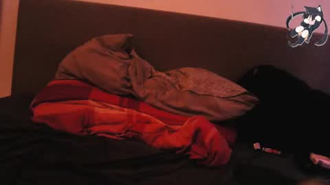 Snapshot of 666horny_boy999 chatting on December 2024 12:23:02 PM Shady online show from December 2024 12:23:02 PM