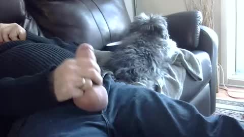 66bear online show from March 2025 10:05:02 PM