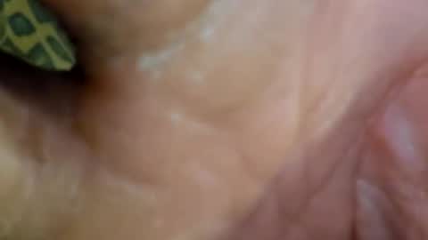 Snapshot of 69dick_fitzwell69 chatting on December 2024 09:00:01 PM HUGH G RECTION online show from December 2024 09:00:01 PM