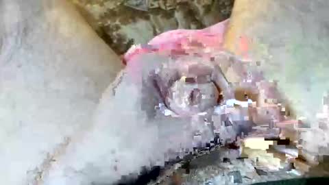 69rumbler online show from November 2025 10:05:01 AM