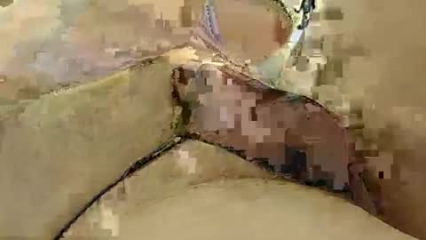 8385 online show from March 2025 12:15:01 AM