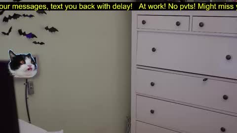 Snapshot of _3x7_ chatting on October 2025 06:16:02 PM _3x7_ online show from October 2025 06:16:02 PM