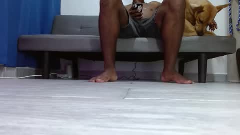 Alpha pprs online show from February 2026 10:44:02 AM