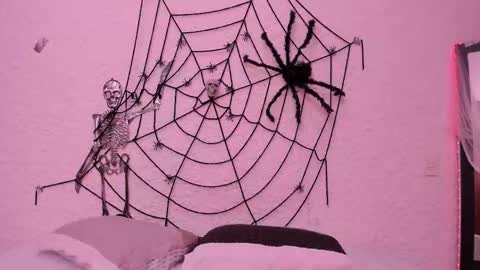 Snapshot of _alexandersawyer_ chatting on October 2025 04:46:02 AM Alexander online show from October 2025 04:46:02 AM