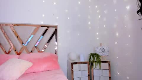 Snapshot of _andyy__ chatting on February 2025 11:58:02 PM Andy online show from February 2025 11:58:02 PM