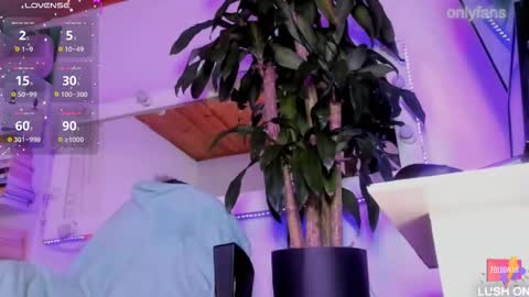 fer online show from October 2025 05:48:01 AM