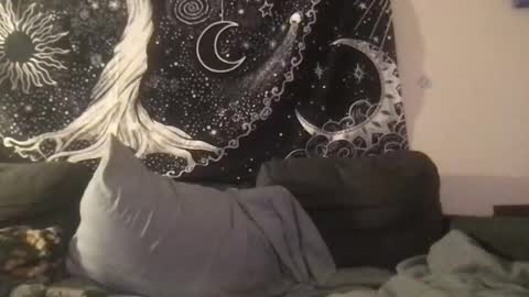 Snapshot of _bandit_b0y chatting on February 2025 05:01:01 AM bandit online show from February 2025 05:01:01 AM