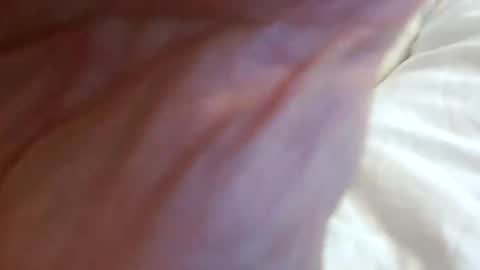 _black_horse_1 online show from October 2025 04:41:02 PM