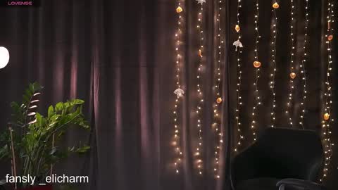 Snapshot of _elicharm chatting on February 2026 07:48:01 PM Elice online show from February 2026 07:48:01 PM