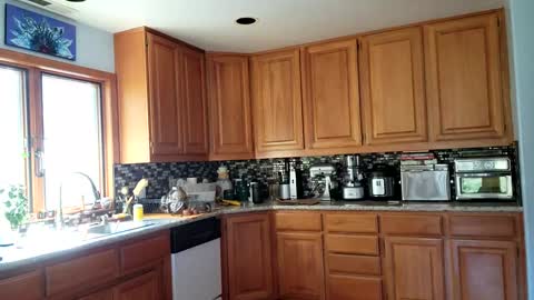 Snapshot of _frankie_rivers chatting on March 2025 10:58:01 PM Frankie Rivers allmylinks  online show from March 2025 10:58:01 PM