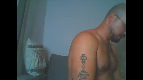 furby online show from February 2026 08:16:02 PM