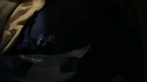 Snapshot of _ginger_boy chatting on December 2024 08:11:01 PM Ginger boy online show from December 2024 08:11:01 PM