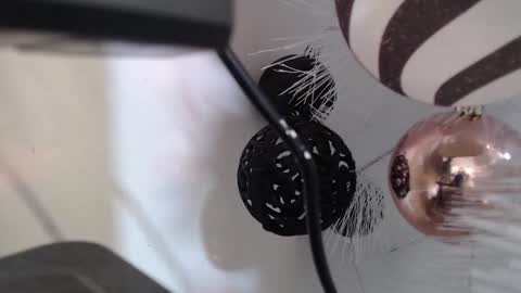 Cata  online show from December 2025 03:12:02 AM