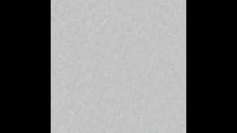  Kendall online show from November 2025 07:29:01 AM