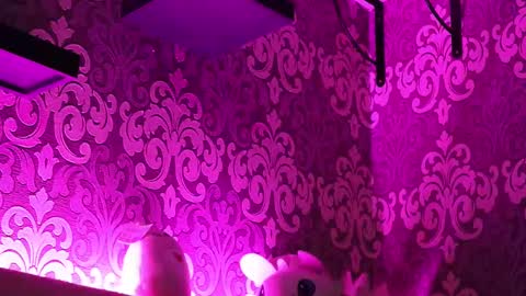 Snapshot of _made_in_hell_ chatting on February 2025 11:47:02 PM Stream at am in MoscowI am waiting for you very much3 online show from February 2025 11:47:02 PM