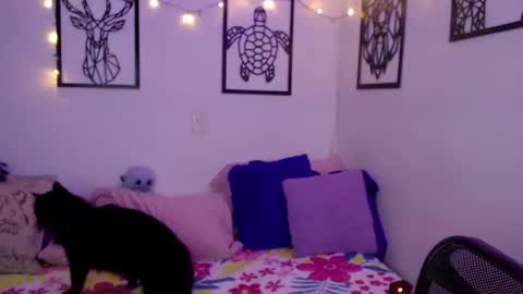 Snapshot of _marcela_wi chatting on January 2025 12:57:01 AM Marce online show from January 2025 12:57:01 AM