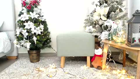 Snapshot of _sassy_girl chatting on December 2024 06:33:01 PM Sassy Girl online show from December 2024 06:33:01 PM