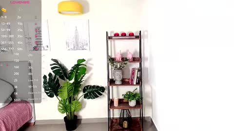 Snapshot of _sassy_girl chatting on February 2025 12:19:01 PM Sassy Girl online show from February 2025 12:19:01 PM