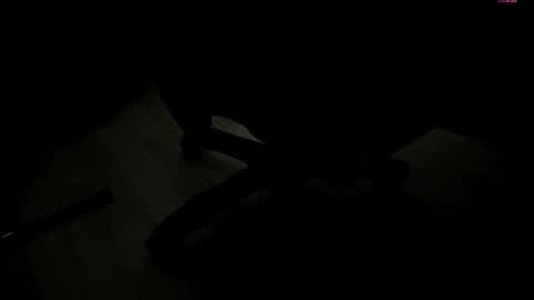 Snapshot of _selene_red chatting on November 2025 01:44:02 PM Selene online show from November 2025 01:44:02 PM