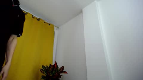 _skyleer_ online show from November 2025 11:36:02 PM