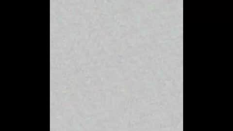 _tammarra_ online show from February 2026 06:13:02 PM