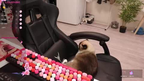 Snapshot of _viv1an_ chatting on December 2025 08:40:02 AM Alis online show from December 2025 08:40:02 AM