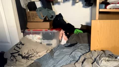 Matt snap - mattdillon1995 online show from September 2025 05:42:01 AM