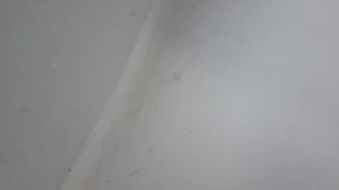 XXL online show from January 2026 10:52:01 AM