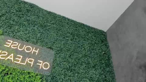 A B B Y online show from February 2025 06:21:02 PM